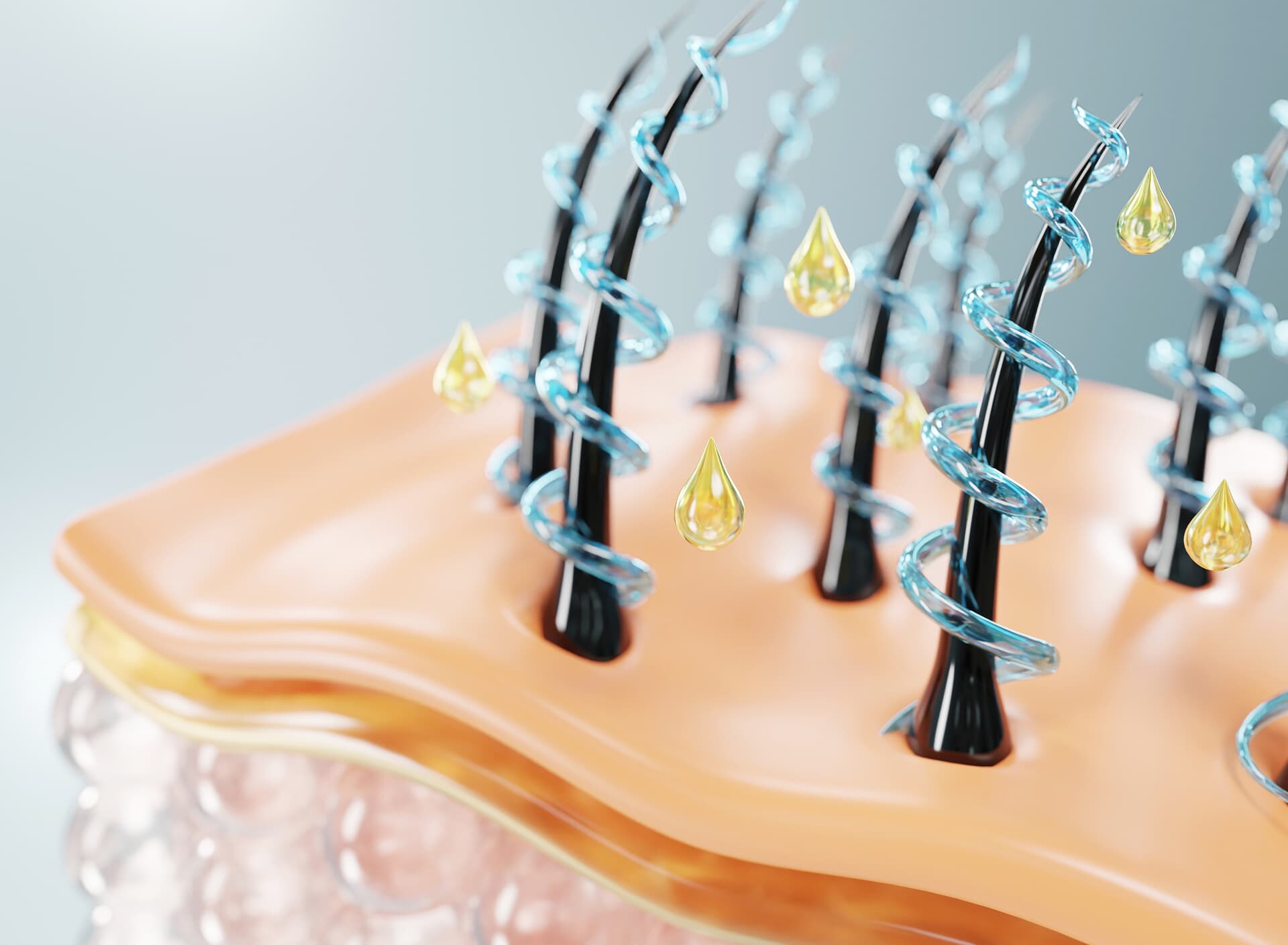 What makes an ideal candidate for transplantation or removal?